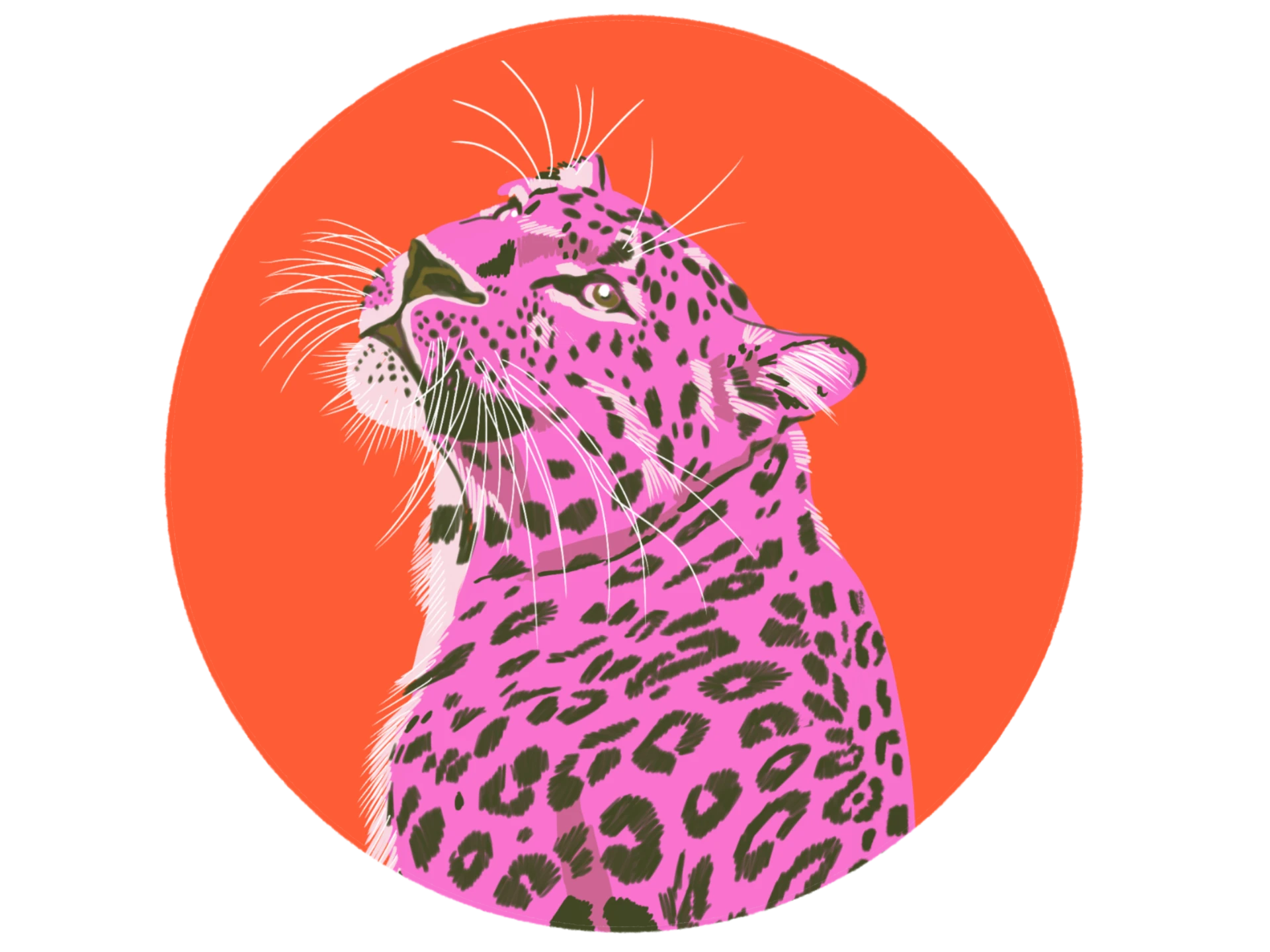 Illustration eines pinken Jaguars vor rundem orangem Hintergrund — Wahrzeichen von Alegría